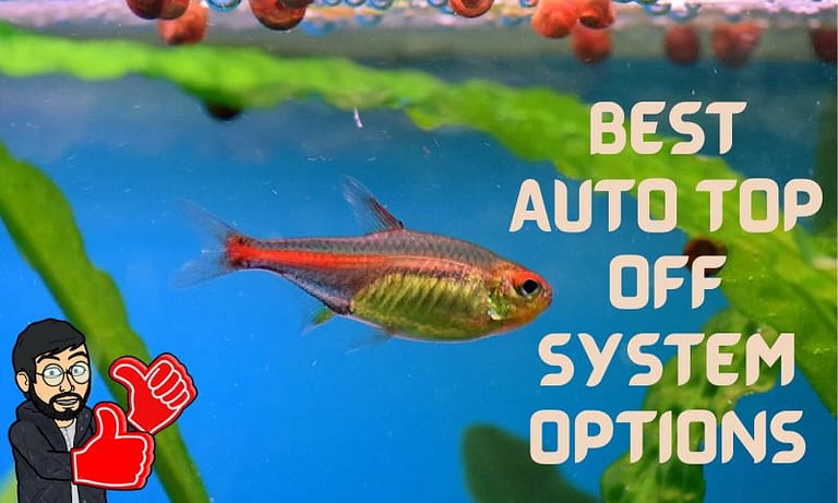 6 Best Auto Top Off System Options For Your Tank