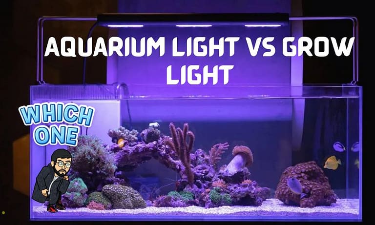 Aquarium Light VS Grow Light: Which One Should You Get?