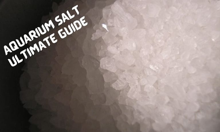Master Guide to Using Aquarium Salt in Fish Tank [2022]